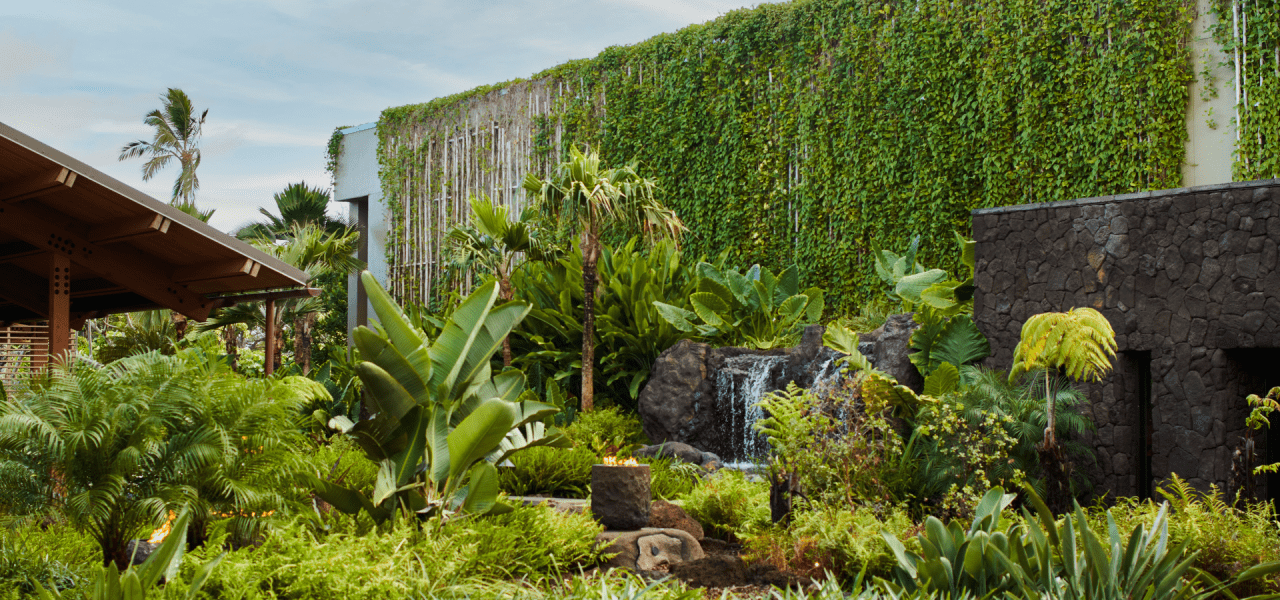 A leafy green area outside of 1 Hotels Hanalei Bay