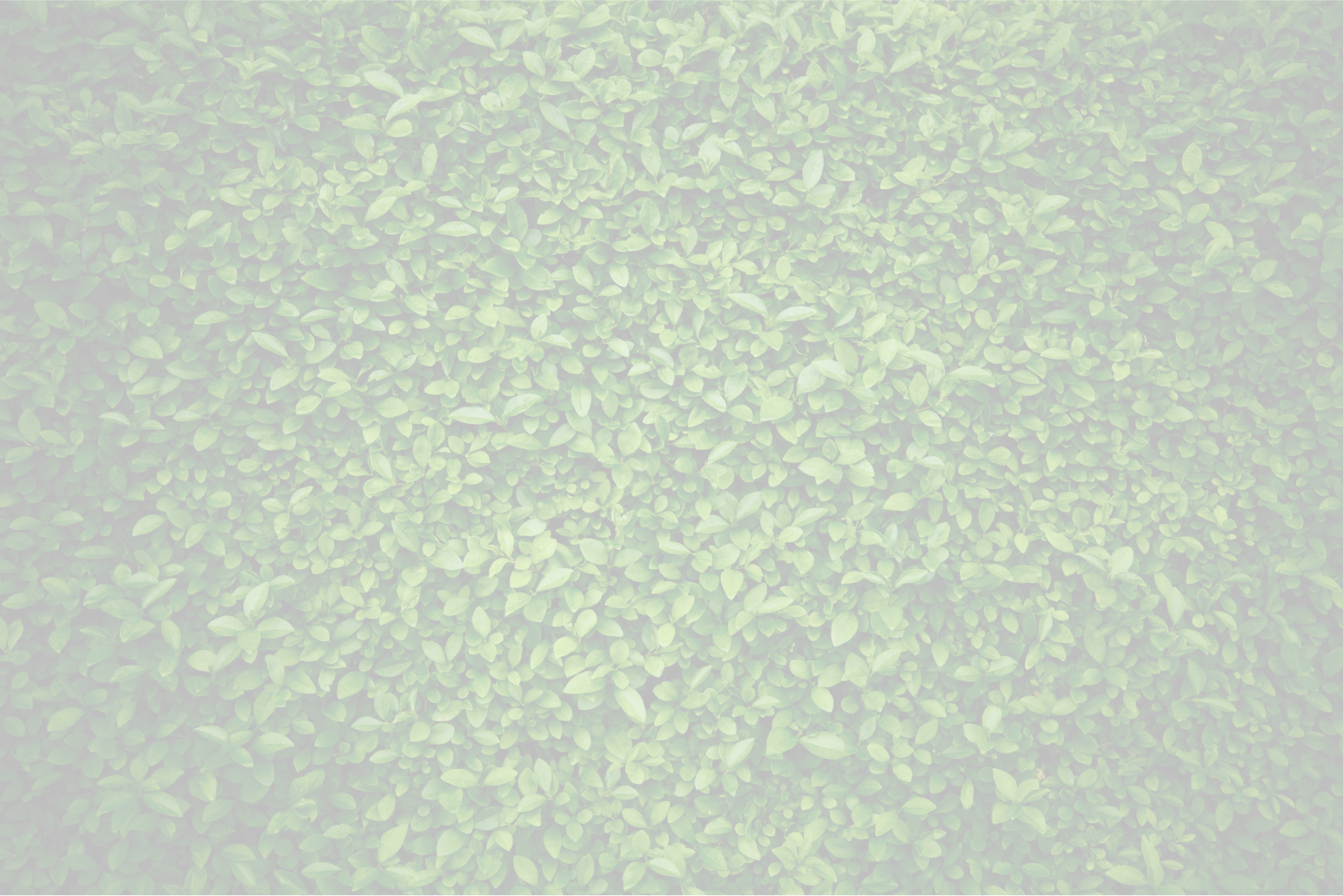 Green leaf background