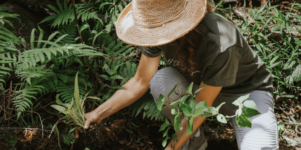 Volunteering at 1 Hotel Hanalei Bay