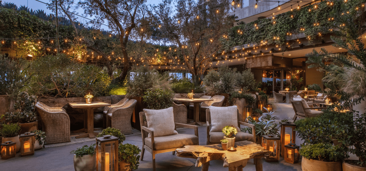 Juniper Lounge and Garden