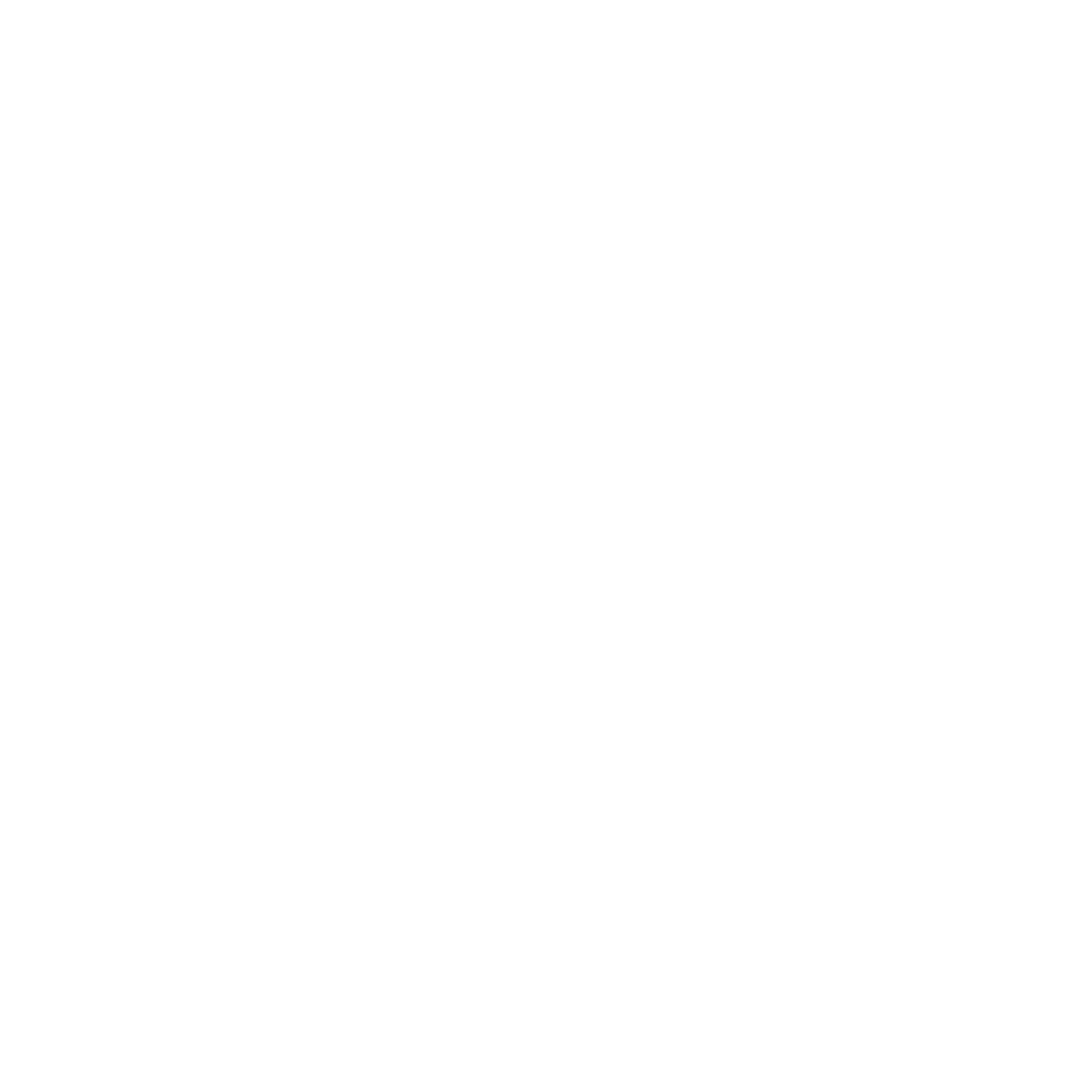 Plnthouse white logo