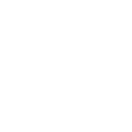 Terrene logo white